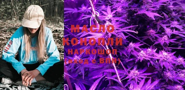 гидра Новозыбков