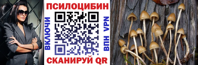мега зеркало  Красноперекопск  Псилоцибиновые грибы Magic Shrooms 